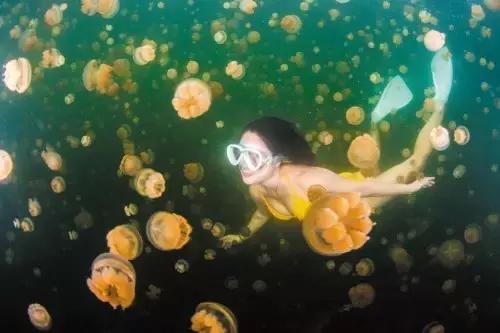 帕劳最新政策消息,帕劳现在怎么样了