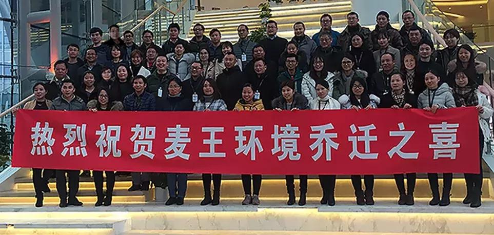 麦王环境技术股份有限公司,麦王环境股份有限公司