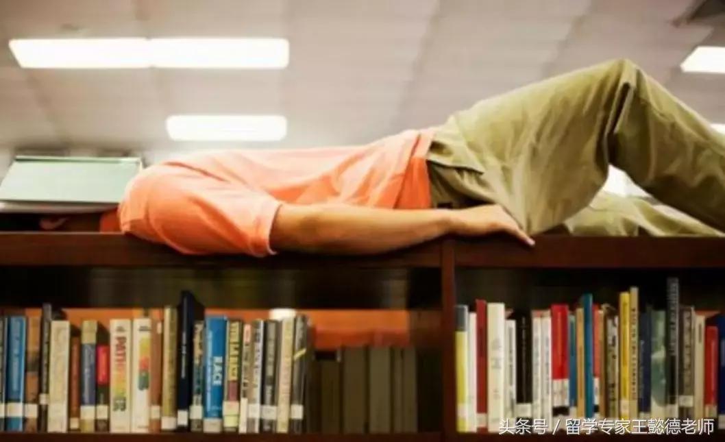 非你莫属澳洲海归女硕士,女海归求职非你莫属