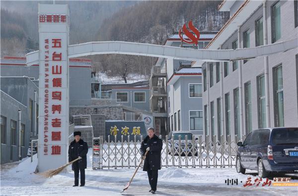 金都山庄：凌冽风中清积雪，地冻天冷情却暖