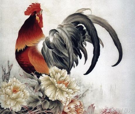 属鸡的贵人是什么属相,鸡和什么生肖最相生