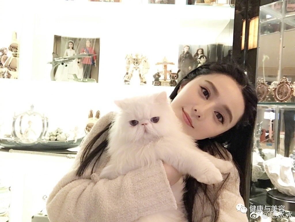 比起范冰冰15000元的猫咪，更羡慕她身后一柜子的化妆品！
