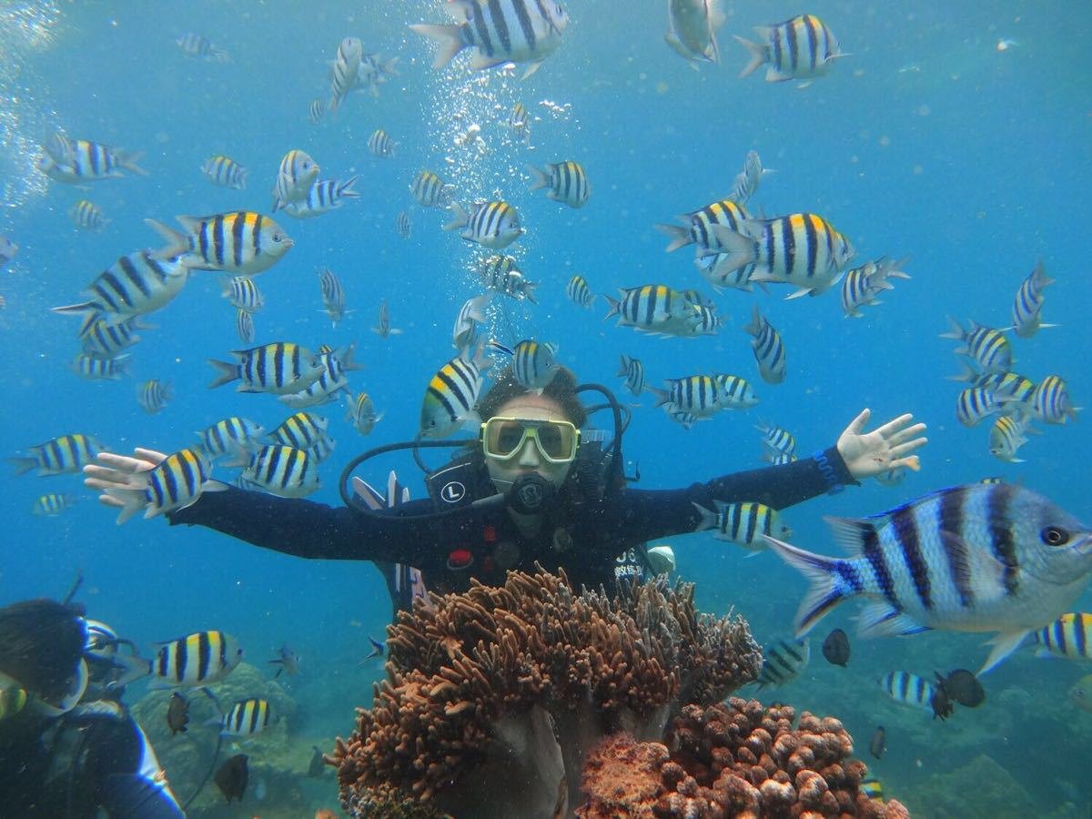 潜水海南三亚,三亚潜水的最佳时间