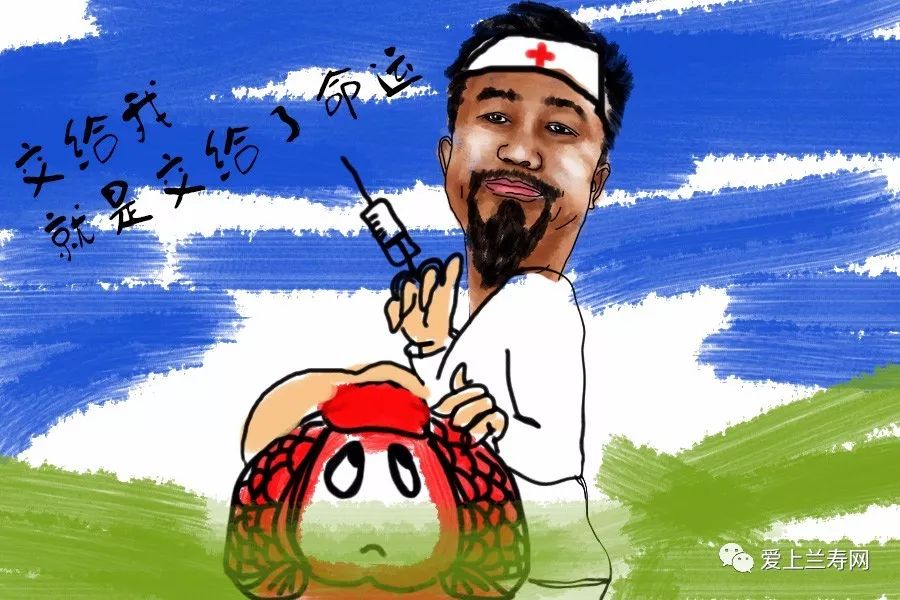 金鱼用药搭配技巧,老天聊金鱼