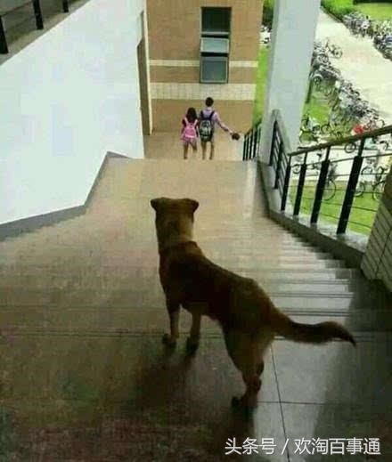 告诉你年会最成功的三种装逼方式,请你带着恩爱来