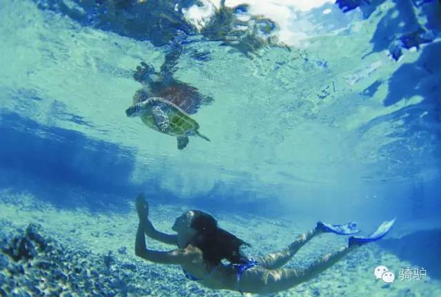 帕劳最新政策消息,帕劳现在怎么样了