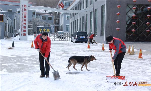 金都山庄：凌冽风中清积雪，地冻天冷情却暖