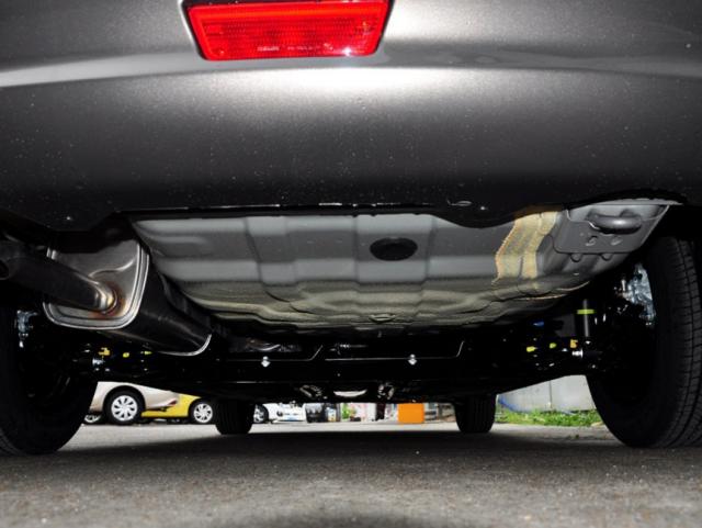 蓝鸟很丑,蓝鸟外形丑不丑