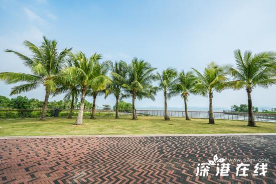 深圳湾公园好玩吗？都有哪些景点？深圳湾公园游玩指南