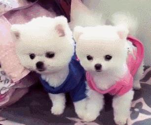 北大校训讲话,北大校训天行健君子自强不息