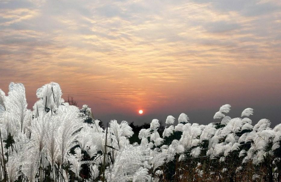 「词风雅韵」风拂青草｜柔柔细语总关情