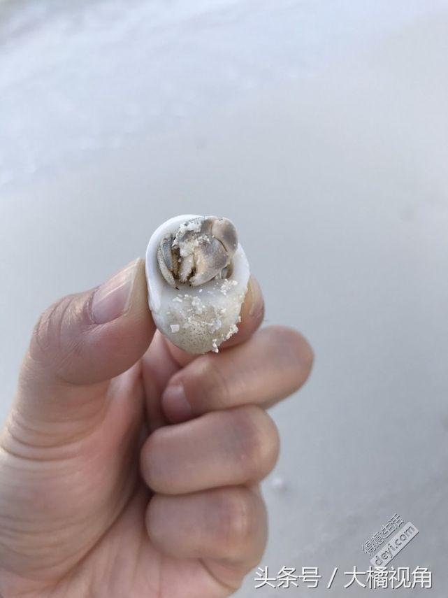 马尔代夫梦境岛,马尔代夫dream