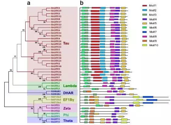 项目和论文不一样的逻辑,项目不同数据不同适合什么图表