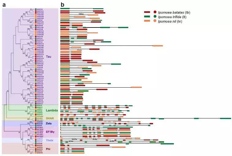 项目和论文不一样的逻辑,项目不同数据不同适合什么图表