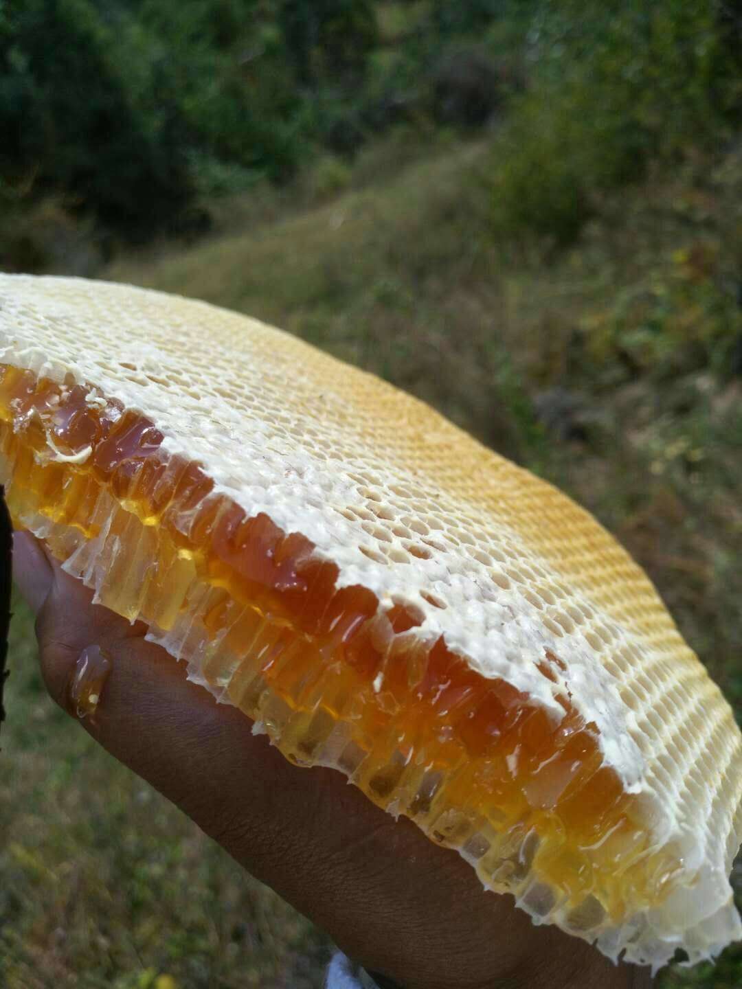 特级蜂蜜精华,冬宝蜂蜜纯天然正宗蜂蜜