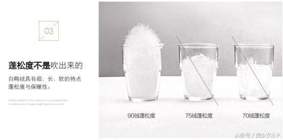 怎么鉴别羽绒服的好坏,羽绒服上哪儿鉴定真假呢