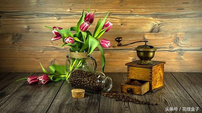 荷兰国花郁金香价格表,荷兰国花郁金香的故事