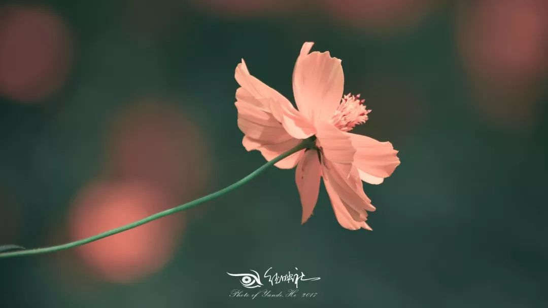 大家对mba的看法,mba为什么那么贵呢