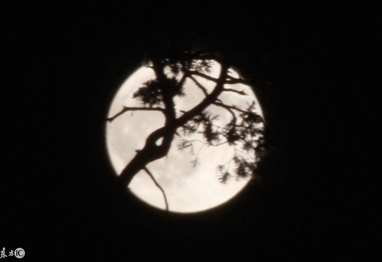 月食的禁忌,月食之夜有什么忌讳