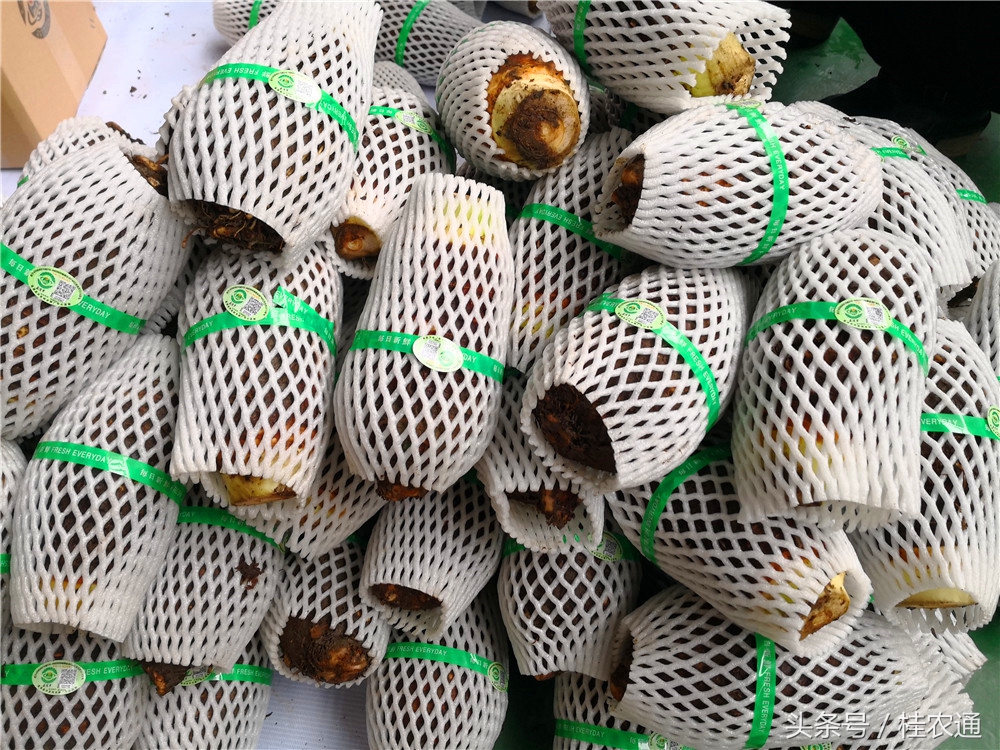 荔浦芋头刘罗锅完整视频,广西桂林荔浦芋头哪里最好