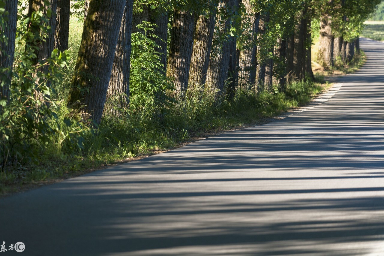 冠县古城老照片,冠县的古城