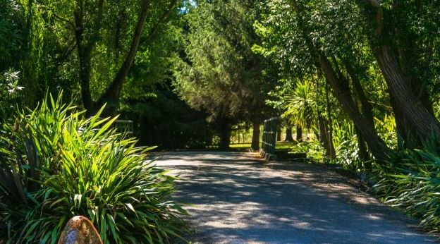 「词风雅韵」风拂青草｜柔柔细语总关情