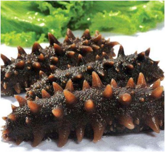 回国托运行李哪些东西不能带,海关不允许带的东西可以寄回国吗