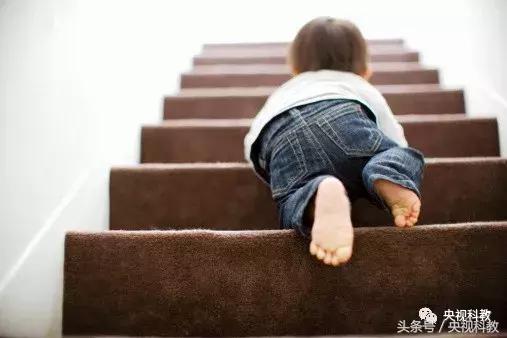 膝盖不好如何保护膝关节,膝关节不好的人应该多吃点什么