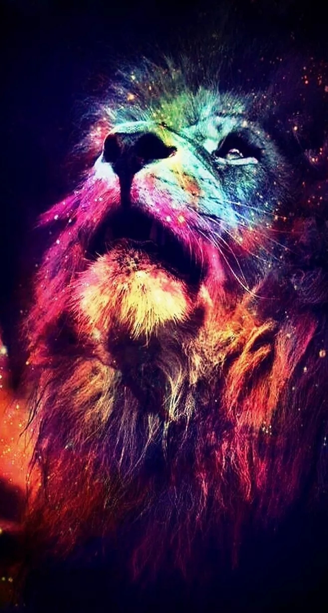 壁纸老虎狮子超霸气超清壁纸,大象老虎狮子谁才是百兽之王