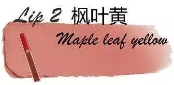 枫叶色口红试色,枫叶色口红100种