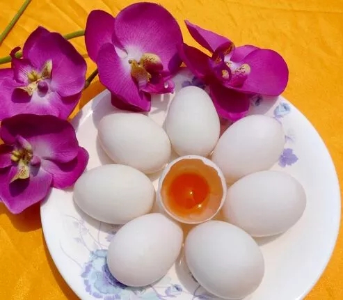 电白景色合集,电白风景