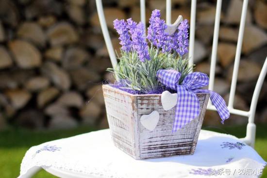 常见花的花语大全简单常见,常见花语大全50种花的花语