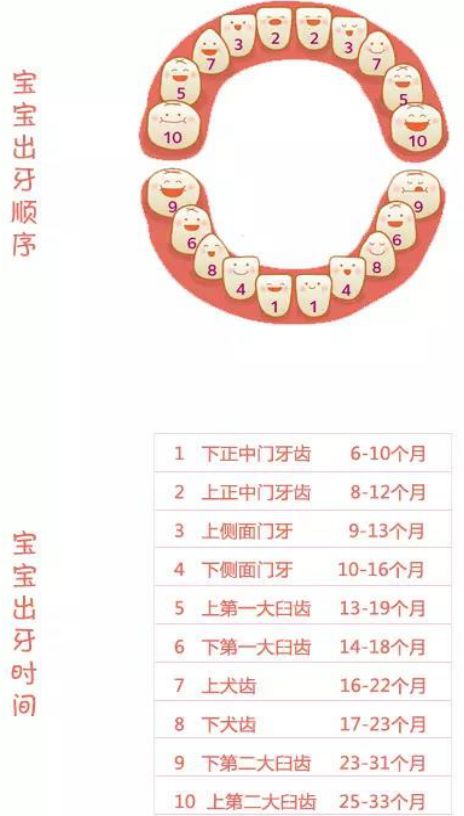 宝宝一岁还没出牙怎么办,宝宝1岁还没长牙也还不会走路