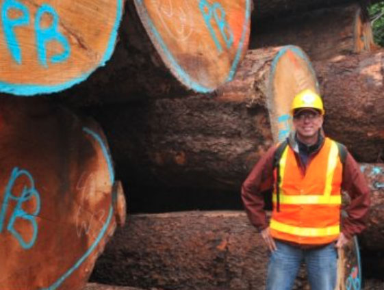 吉他产地哪里最好,吉他品牌及产地