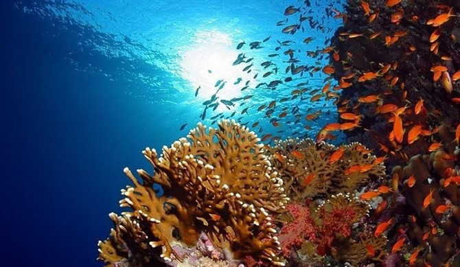 潜水海南三亚,三亚潜水的最佳时间