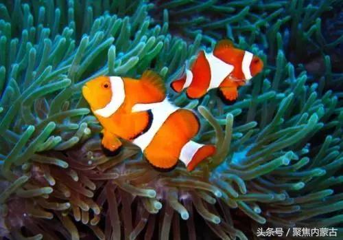 鄂尔多斯海洋馆开放时间,鄂尔多斯海洋馆旅游攻略