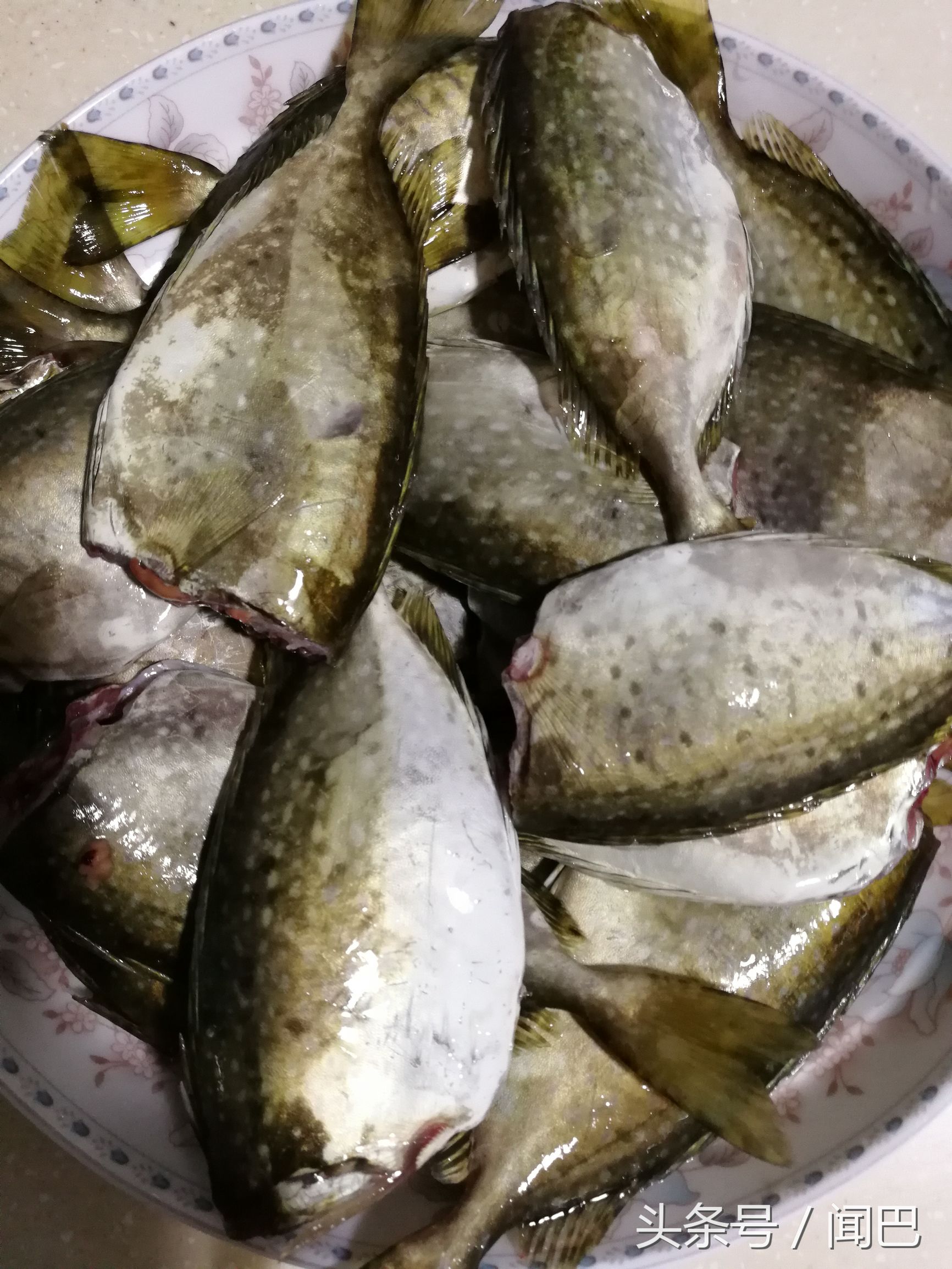 海钓筏钓鱼技巧和方法,海钓泥猛面饵配方与制作方法