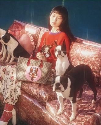 Gucci示范狗年限量，中国生肖正确打开方式！