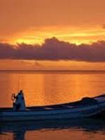 帕劳最新政策消息,帕劳现在怎么样了