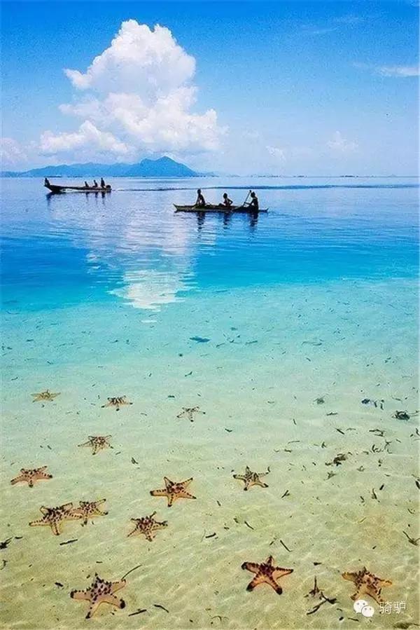 帕劳最新政策消息,帕劳现在怎么样了