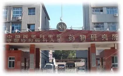 想让美国名校招生官会心一笑?-陆桥教育优质活动大总结5