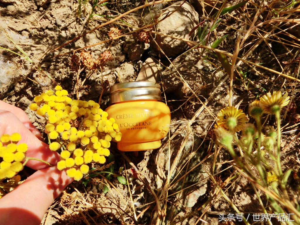 清爽去油欧舒丹,欧舒丹八面玲珑