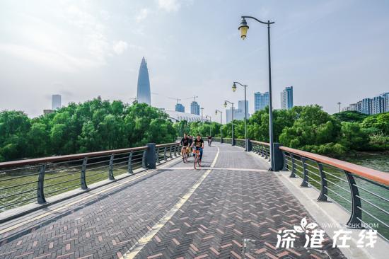 深圳湾公园好玩吗？都有哪些景点？深圳湾公园游玩指南