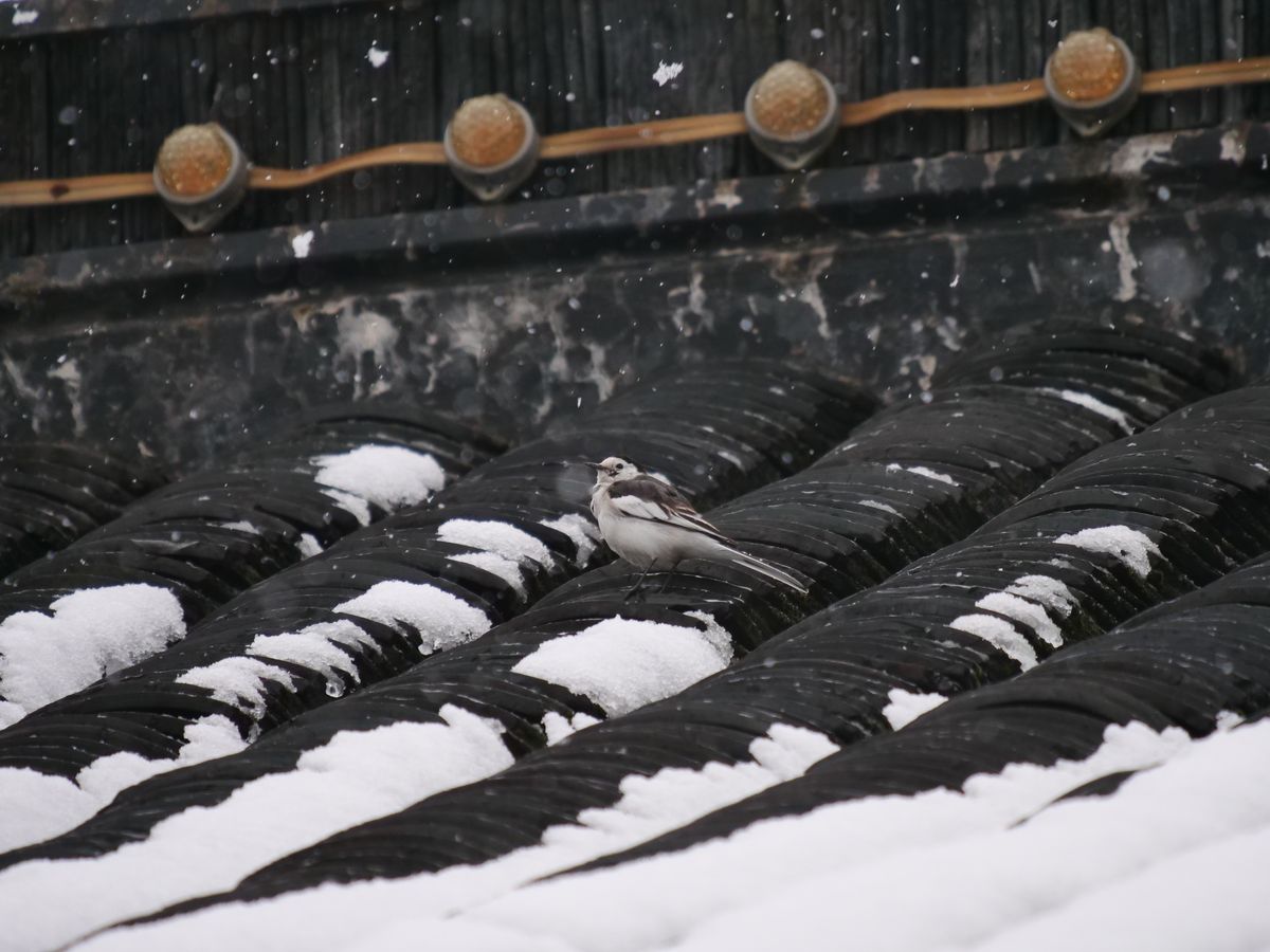 快准稳,快准稳产品