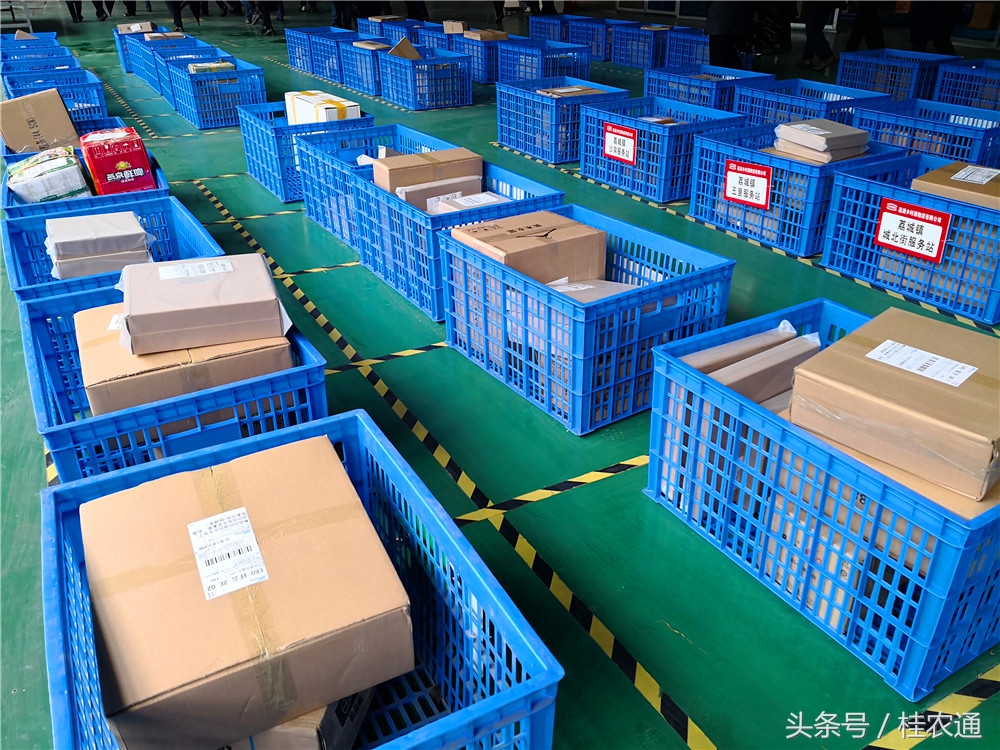 荔浦芋头刘罗锅完整视频,广西桂林荔浦芋头哪里最好