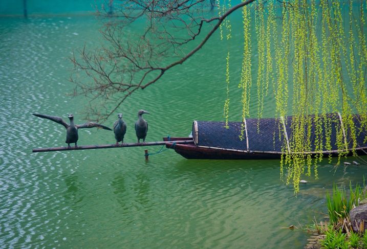 「词风雅韵」风拂青草｜柔柔细语总关情