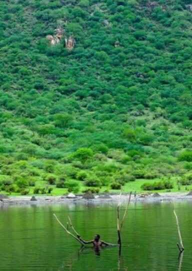 采盐人全身遭高浓度盐酸腐蚀又聋又瞎，从早到晚一整天只赚这些钱