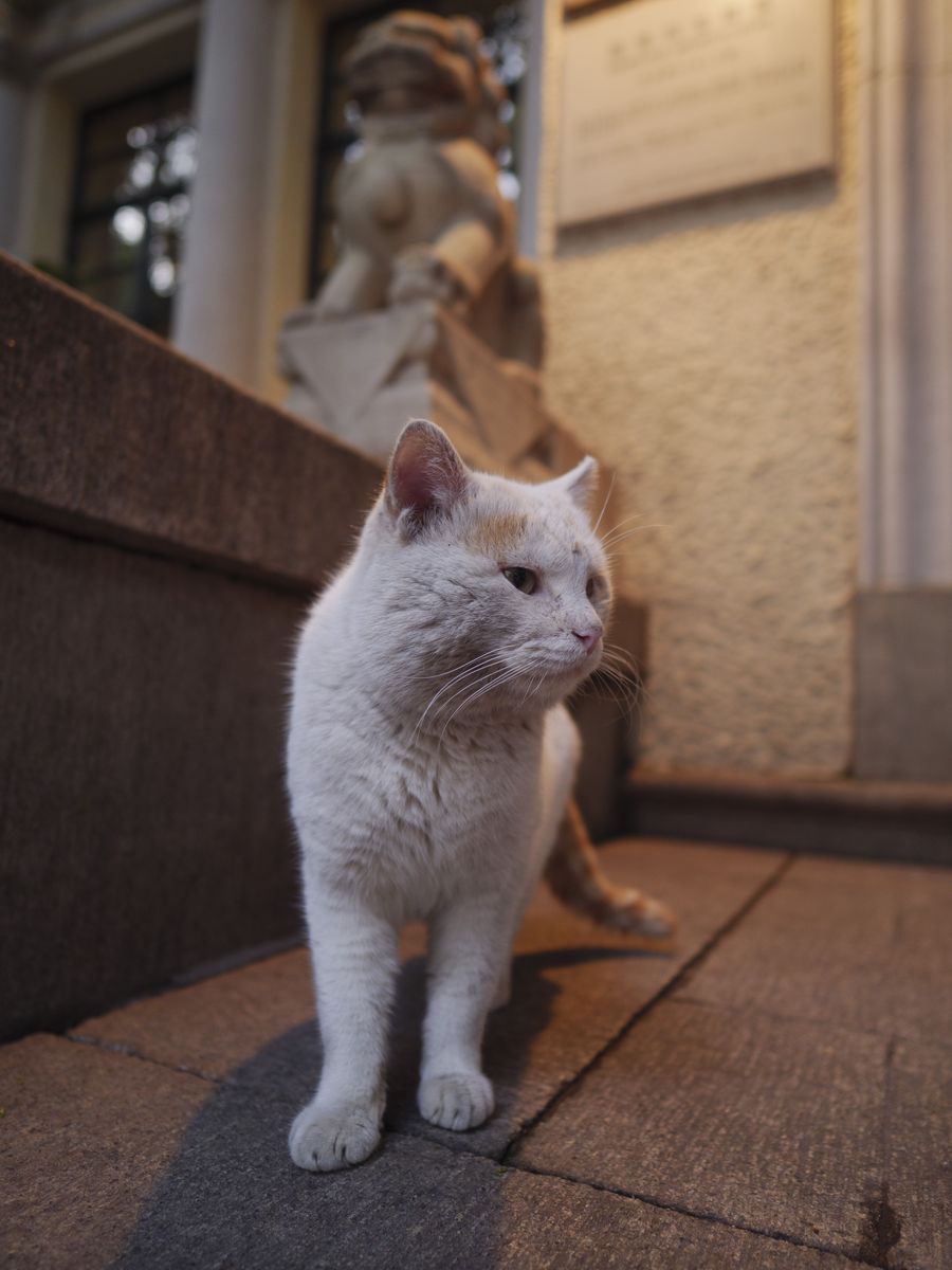 快准稳,快准稳产品