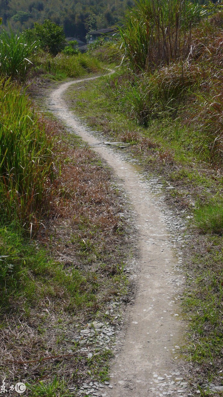冠县古城老照片,冠县的古城