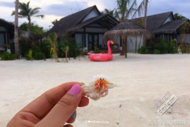 奥臻岛有什么吃的,奥臻岛一价全包多少钱